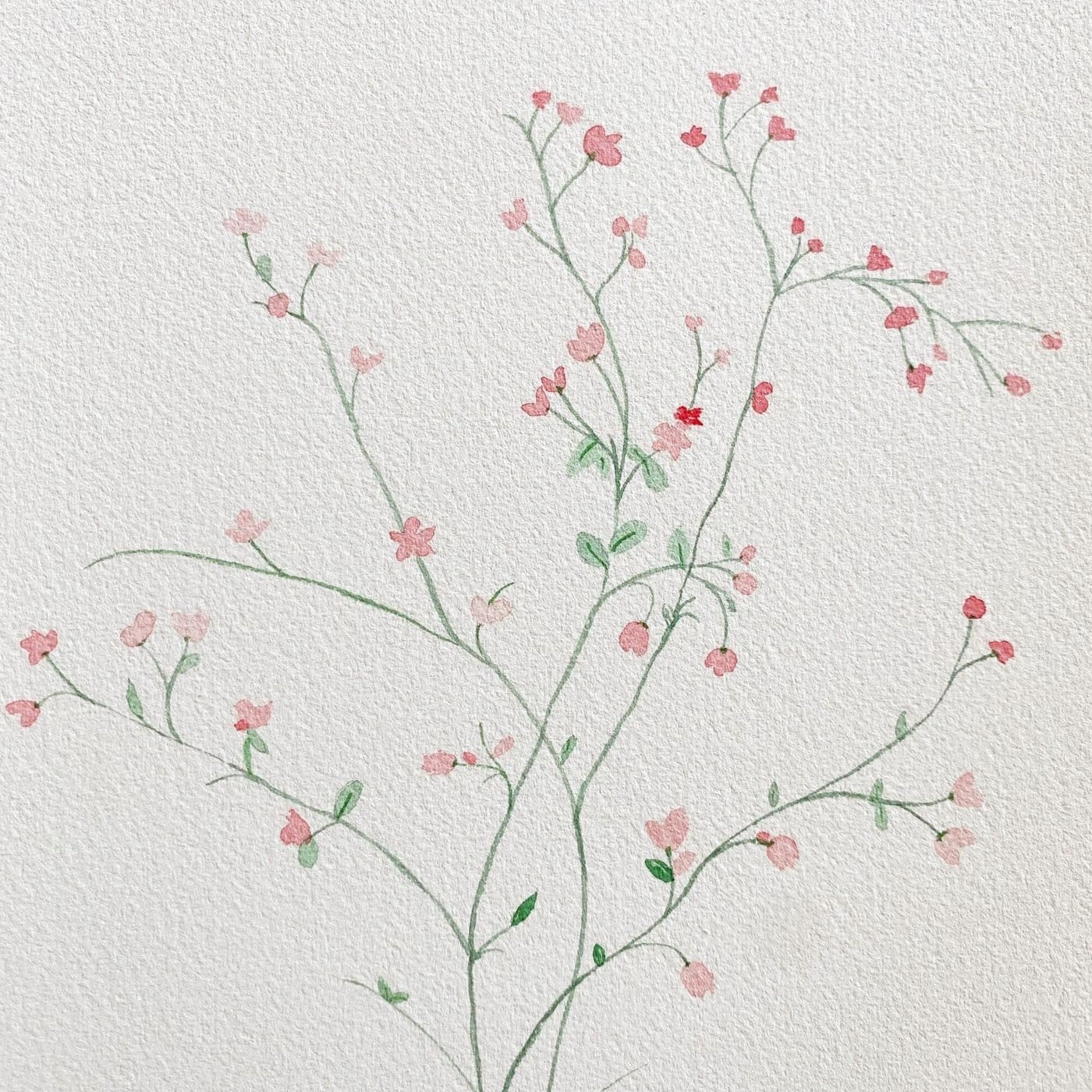 Pink Flower