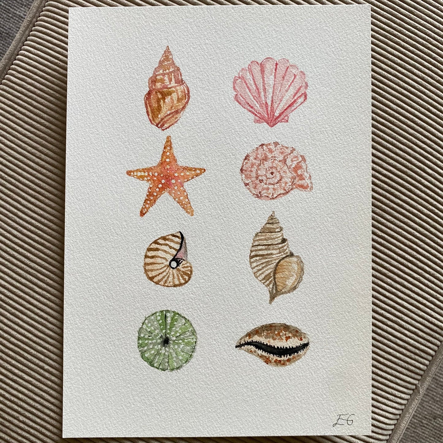 Under the Sea