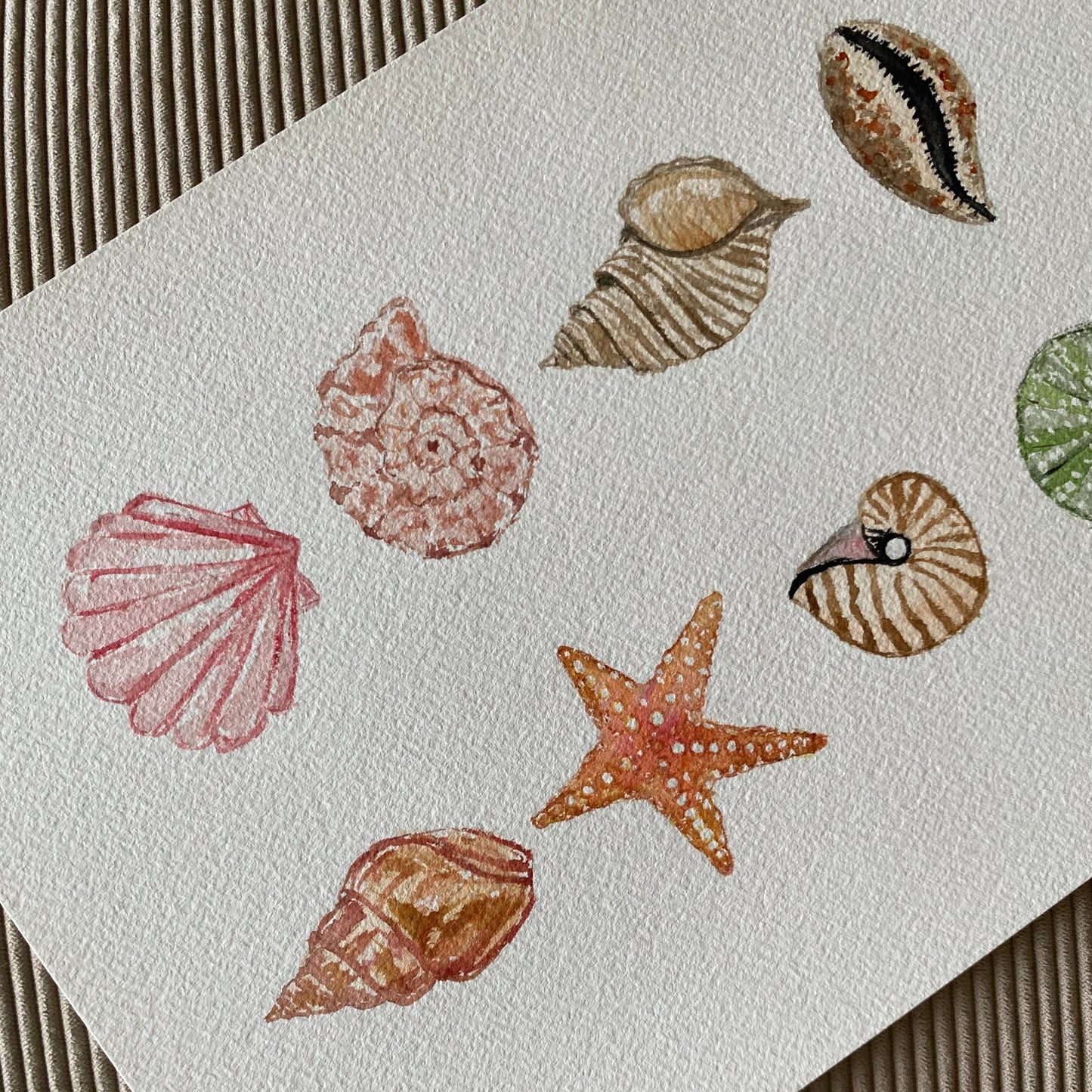 Under the Sea