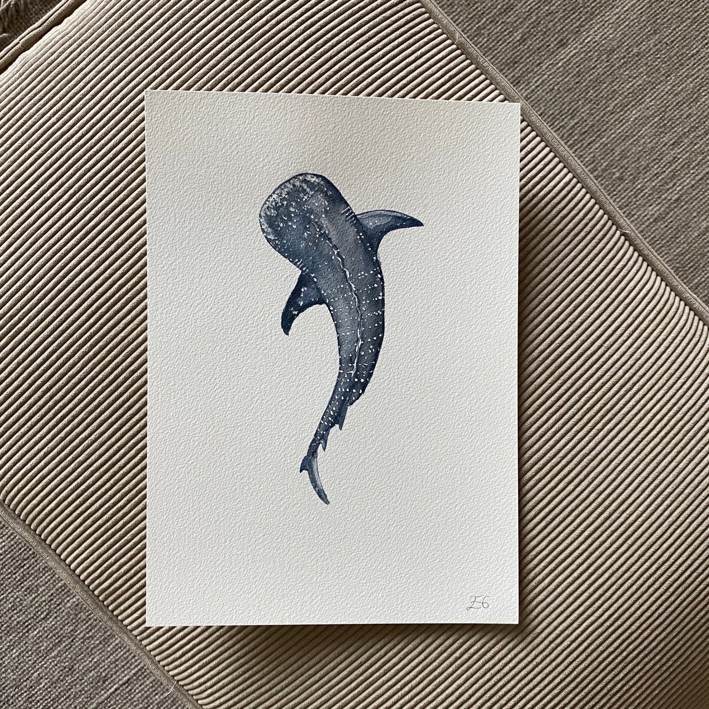 Whale Shark