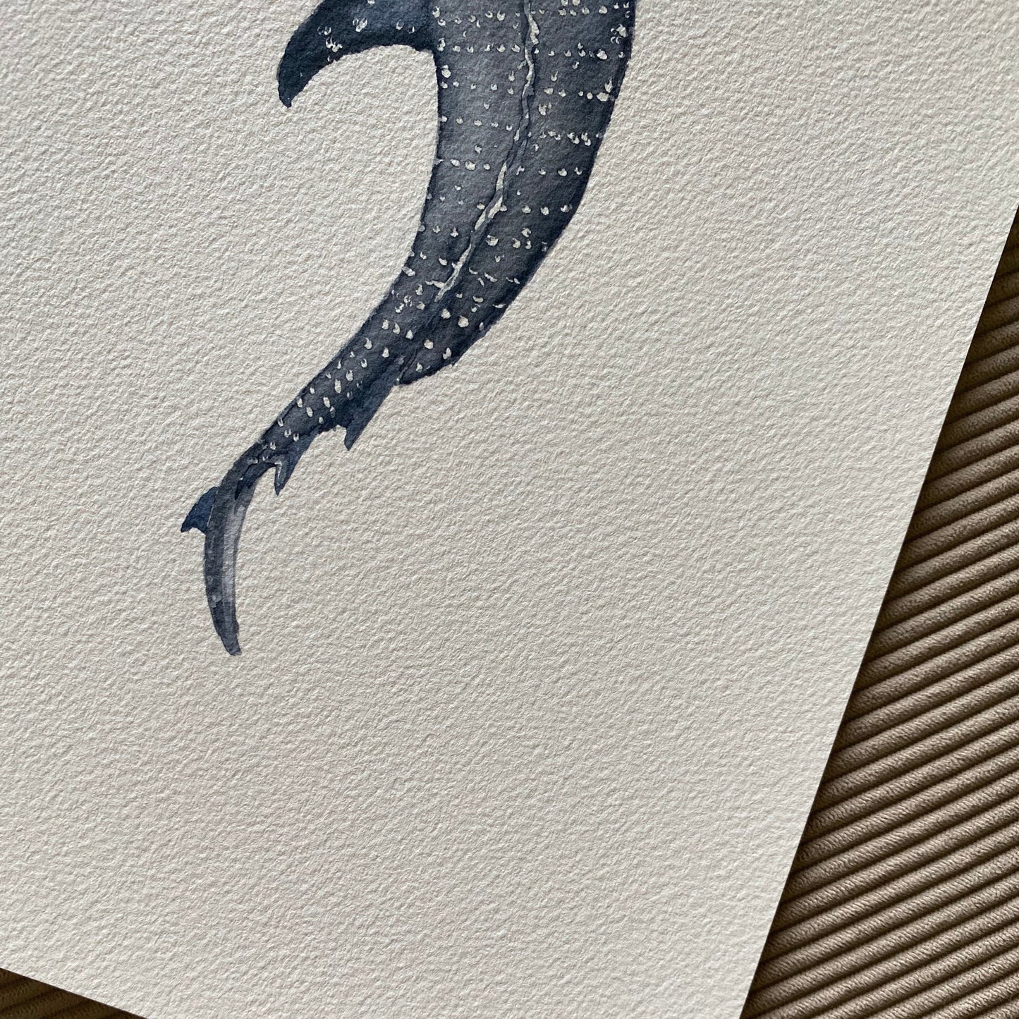 Whale Shark