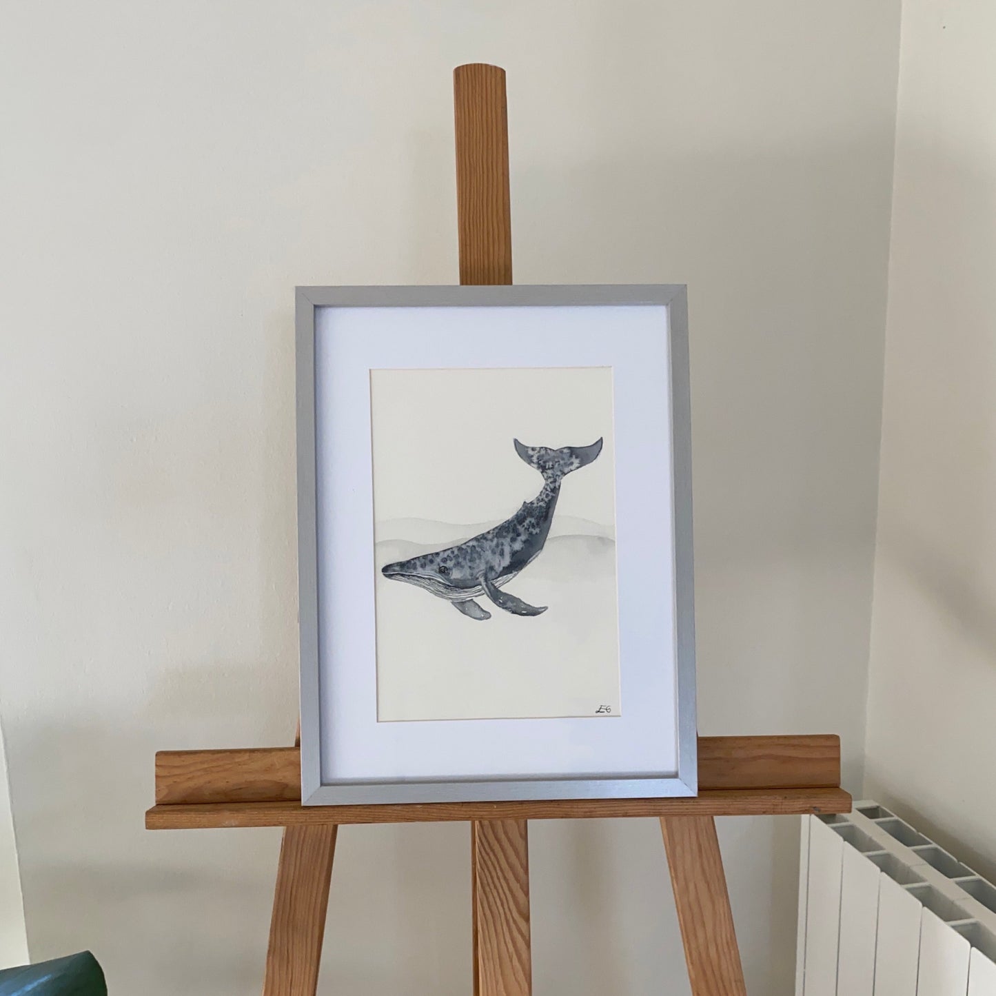Humpback Whale
