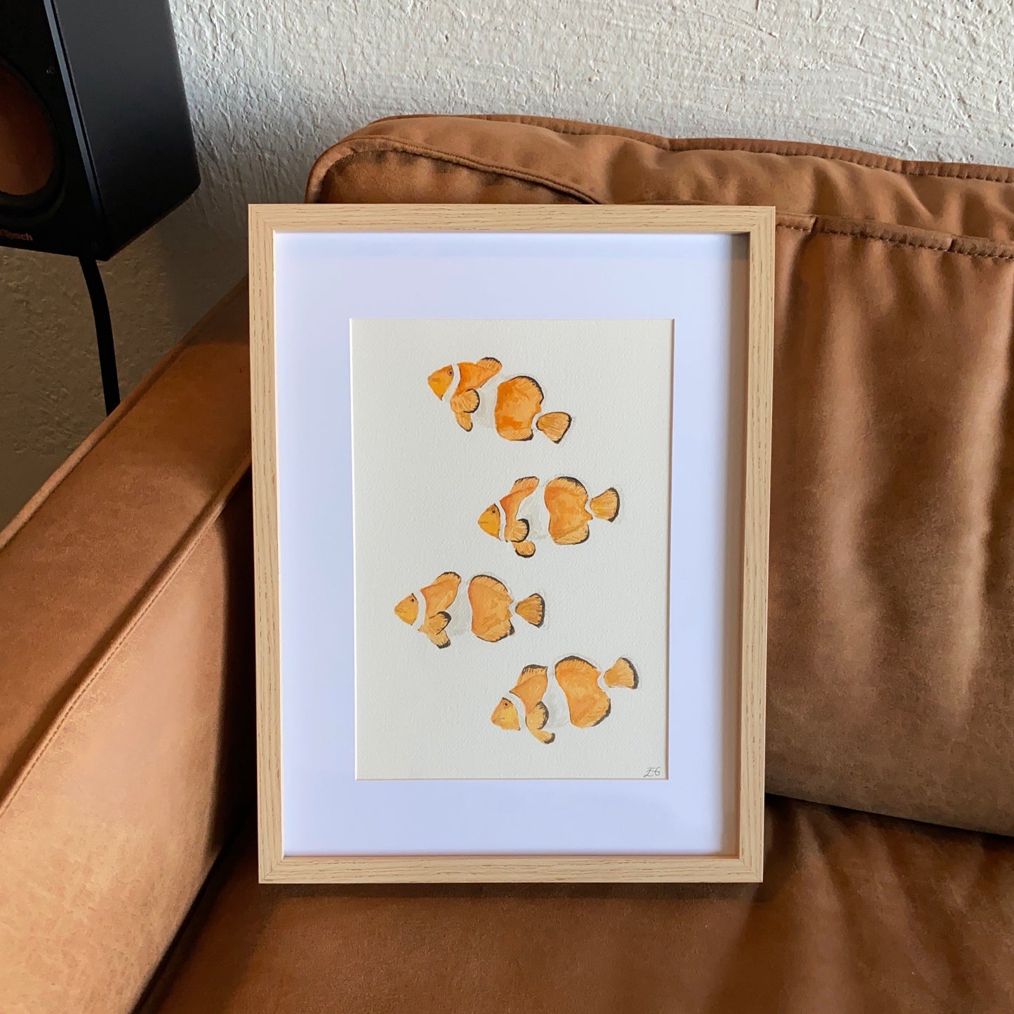 Clownfish