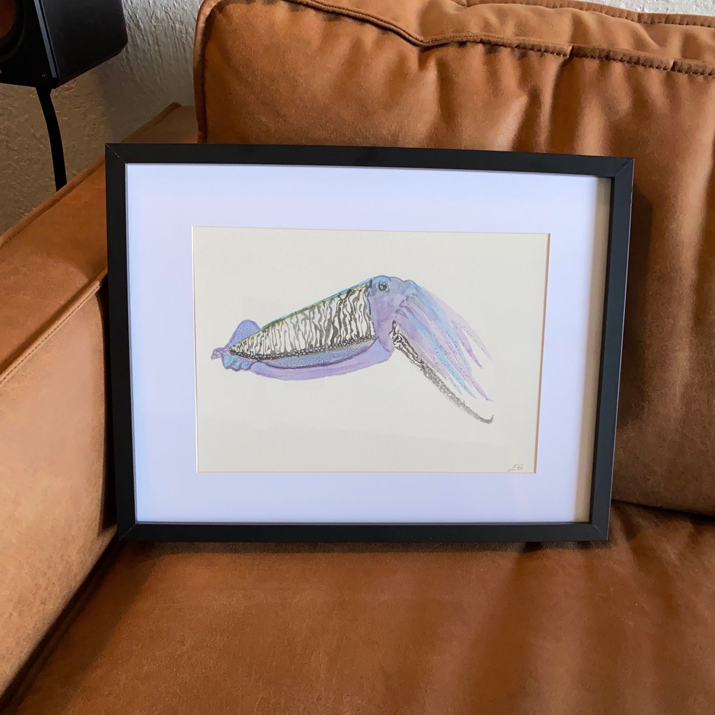 Cuttlefish