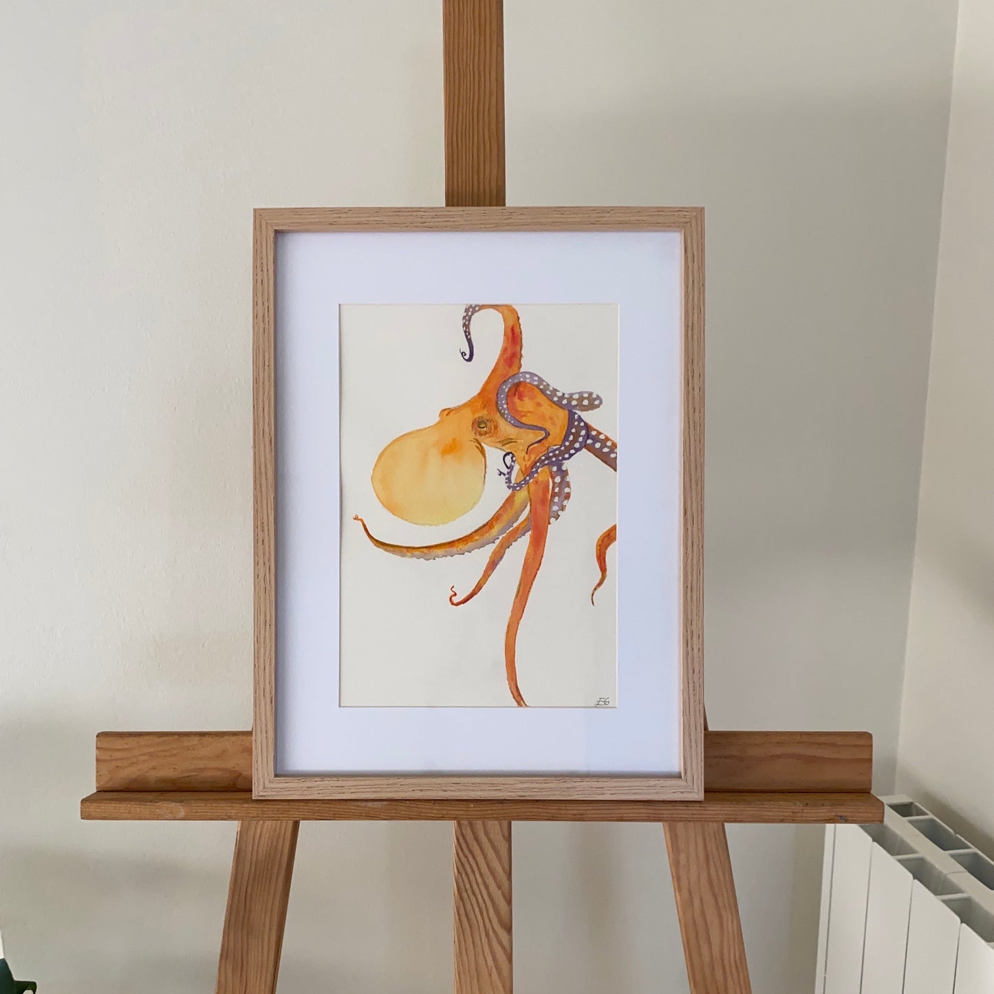Octopus