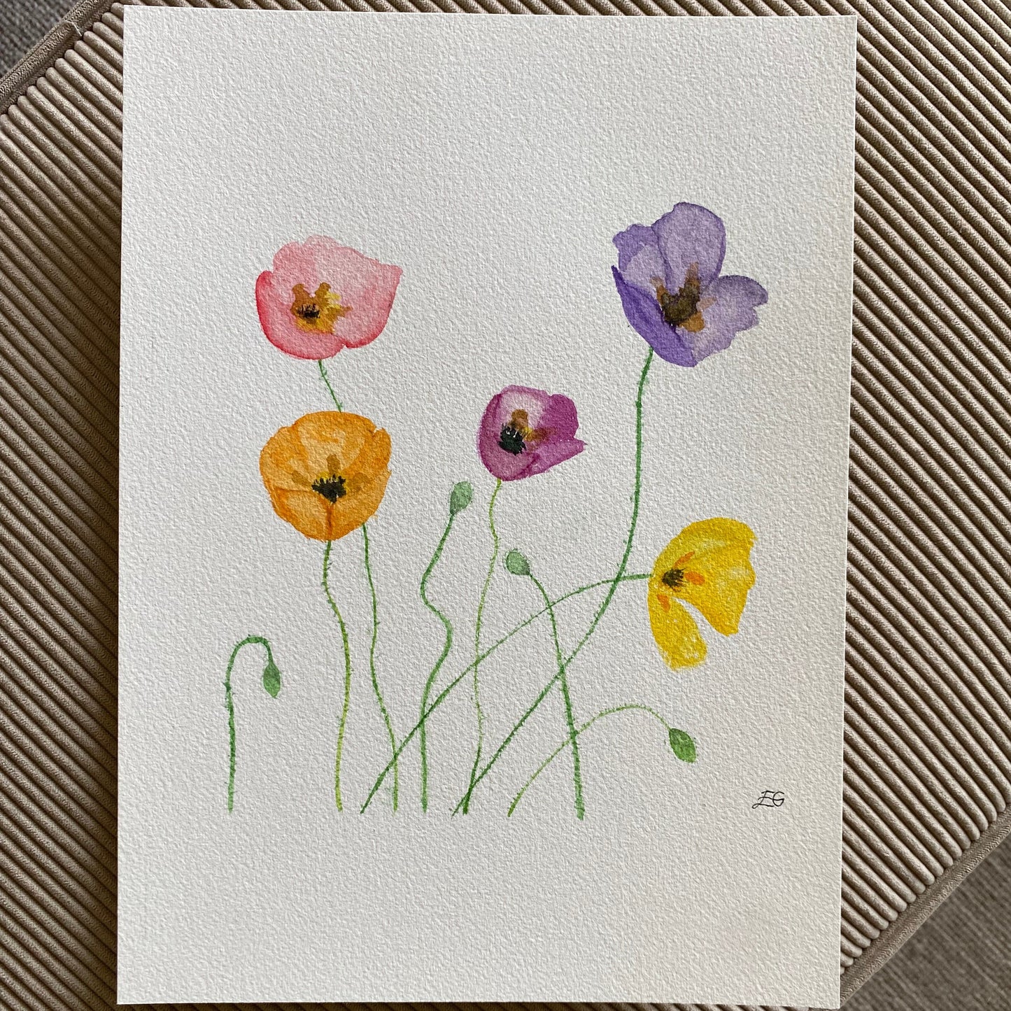 Poppies