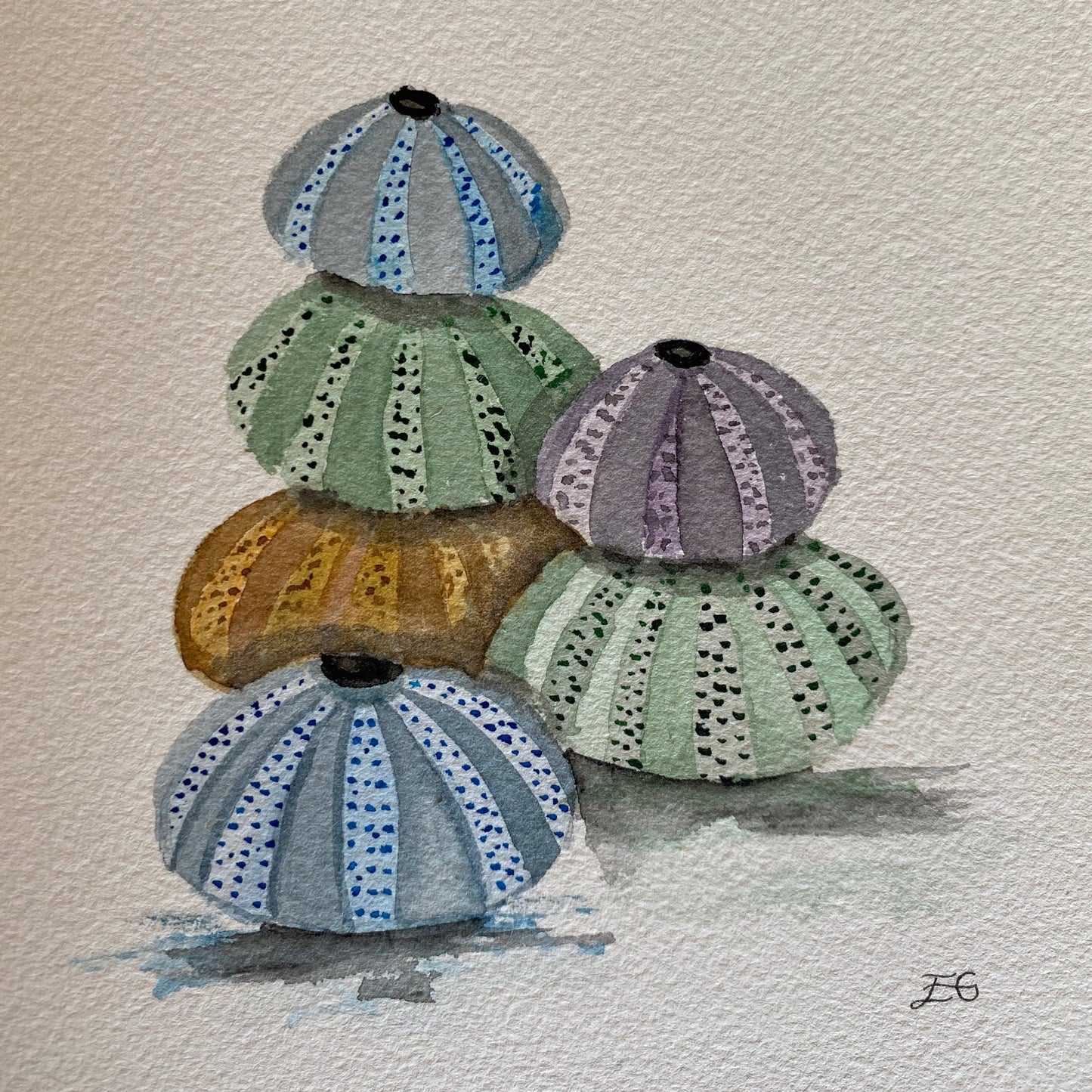 Sea urchins