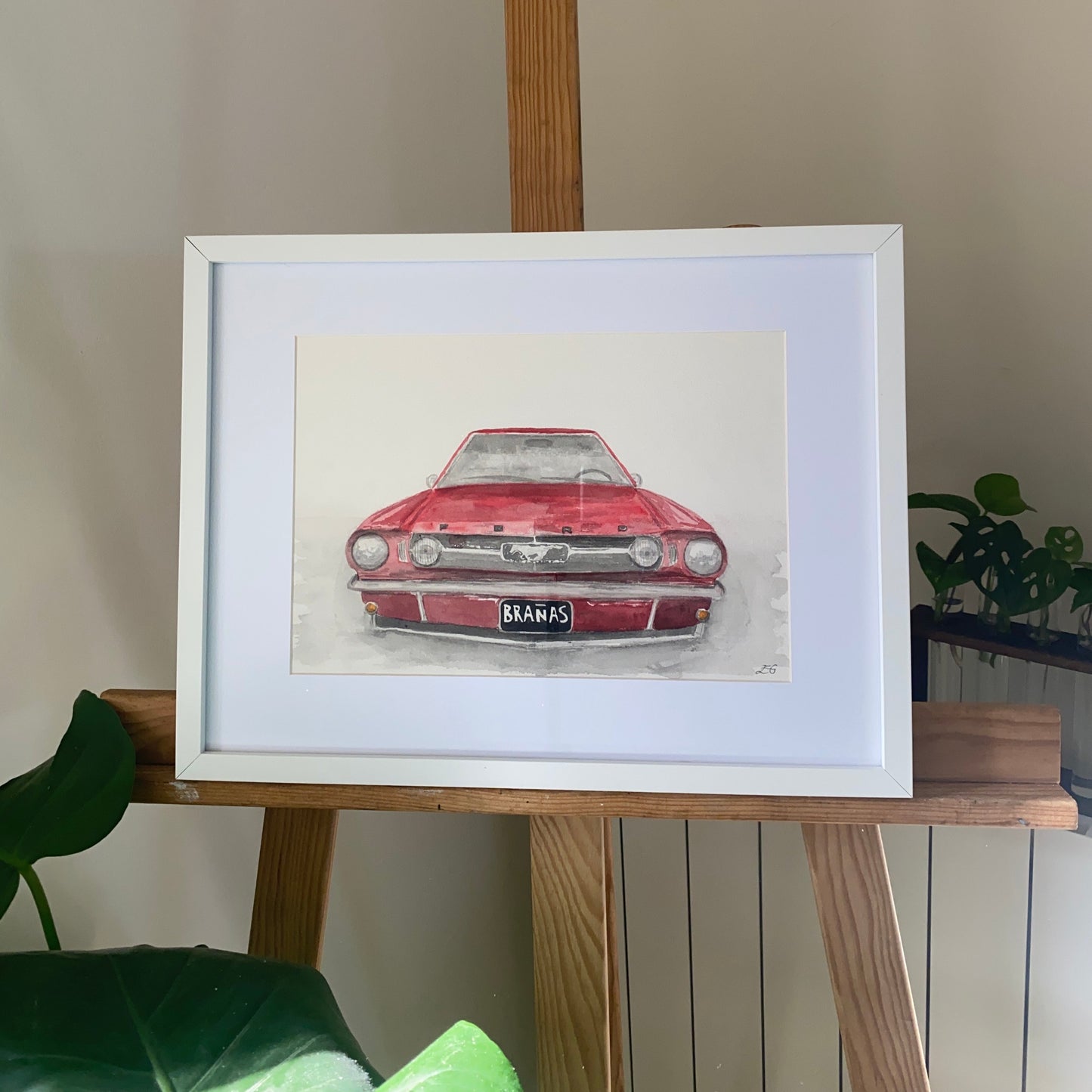 Mustang