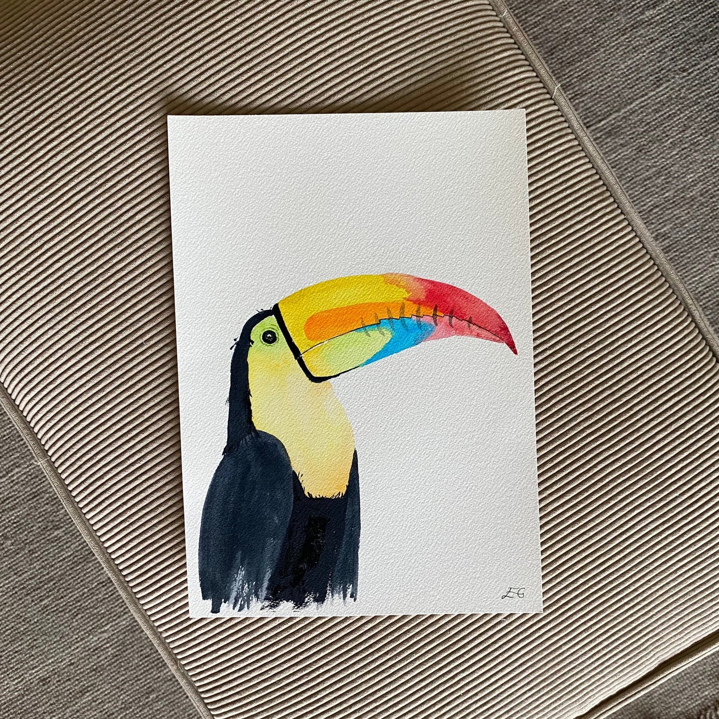 Toucan