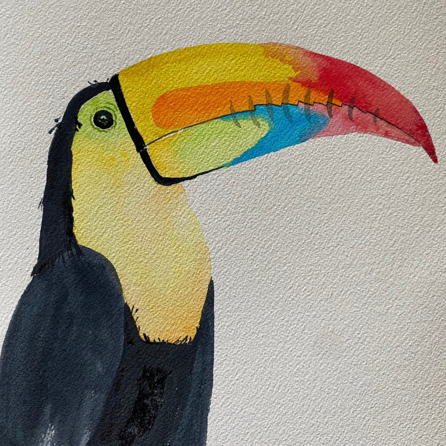 Toucan