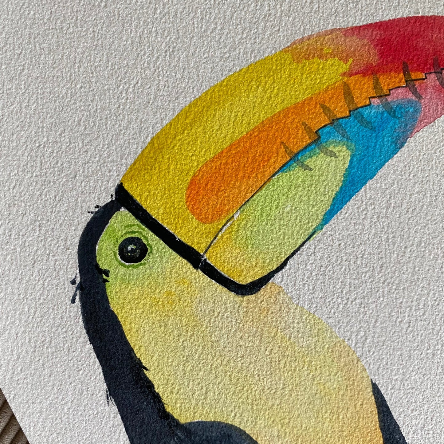 Toucan