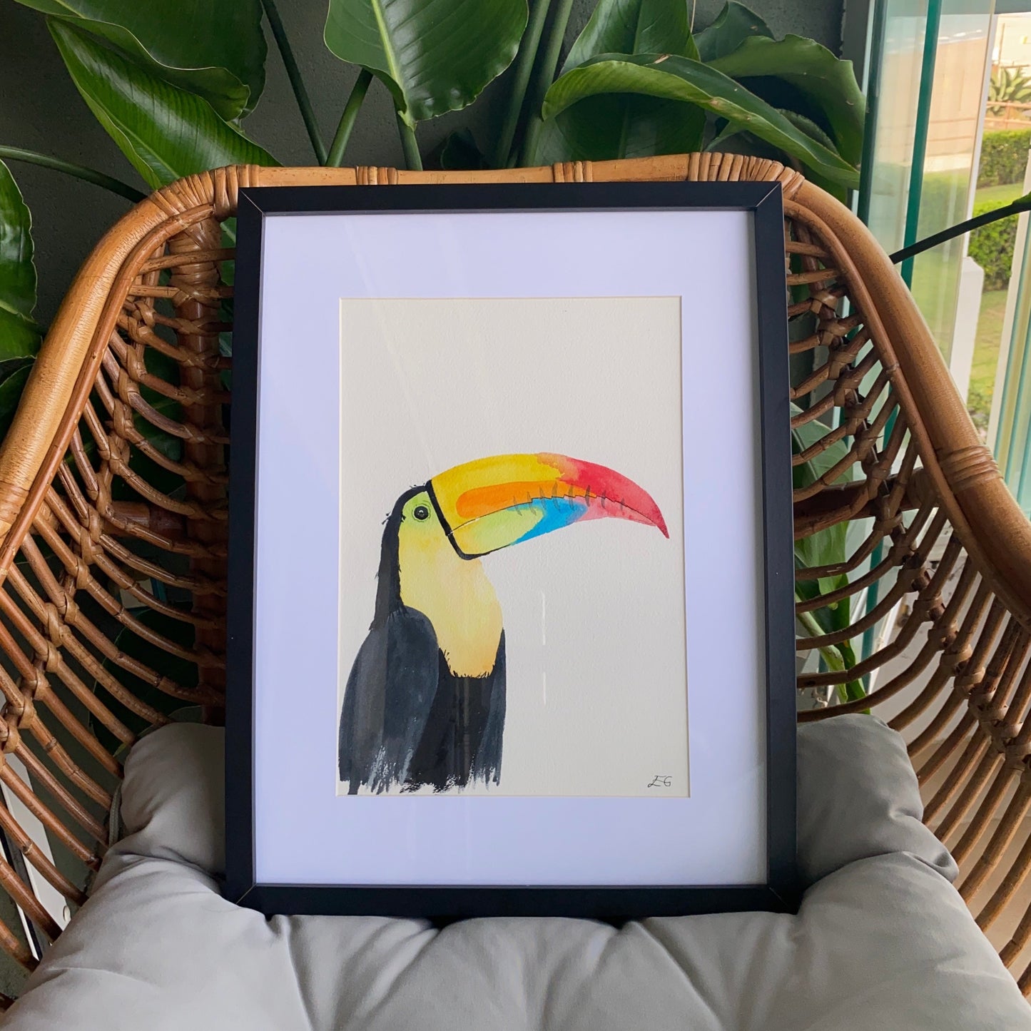 Toucan